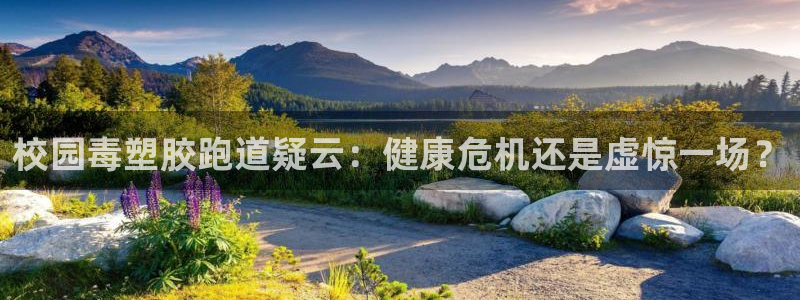 谈球吧体育app登陆不了：校园毒塑胶跑道疑云：健康危机还是虚惊一场？