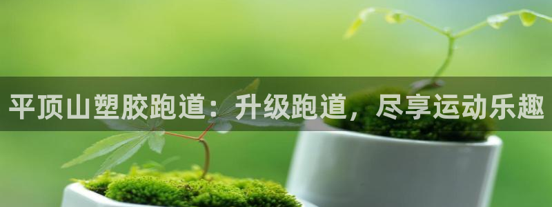 谈球吧体育app下载官网手机版：平顶山塑胶跑道：升级跑道，尽享运动乐趣