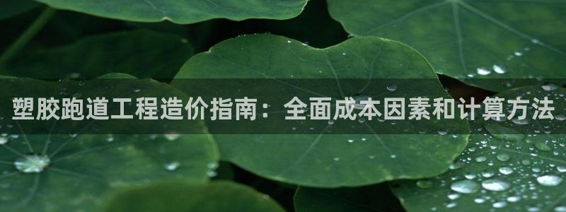 谈球吧官网在线入口：塑胶跑道工程造价指南：全面成本因素和计算方法