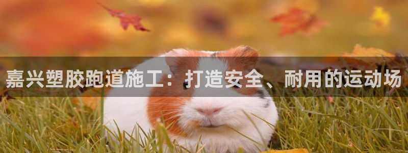 谈球吧app赛事分析报告模板：嘉兴塑胶跑道施工：打造安全、耐用的运动场
