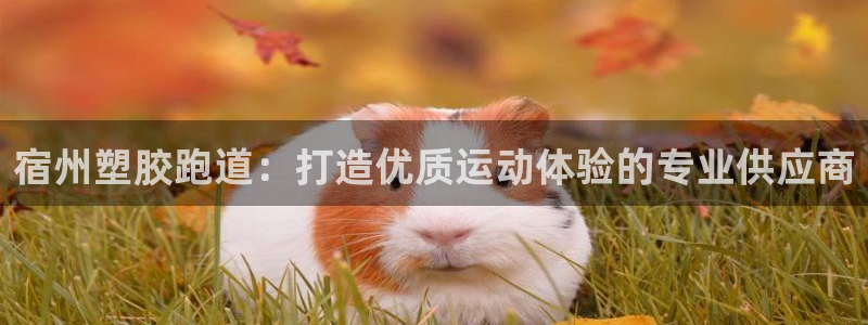 谈球吧平台app下载网址是多少：宿州塑胶跑道：打造优质运动体验的专业供应商