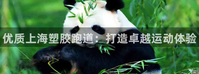 谈球吧体育app下载中心在哪：优质上海塑胶跑道：打造卓越运动体验
