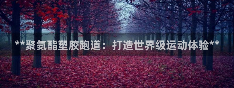 谈球吧体育app下载官网苹果版：**聚氨酯塑胶跑道：打造世界级运动体验**