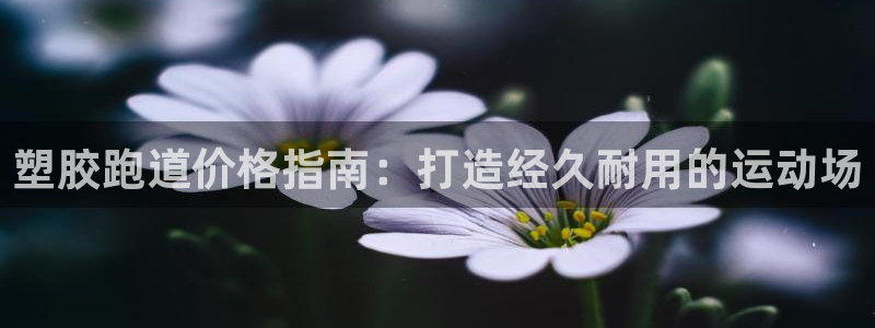 谈球吧在线登录免费观看：塑胶跑道价格指南：打造经久耐