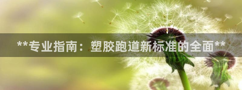 谈球吧是黑台子吗还是白台：**专业指南：塑胶跑道新标准的全面**