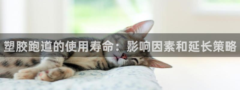 谈球吧是正规平台吗知乎：塑胶跑道的使用寿命：影响因素和延长策略