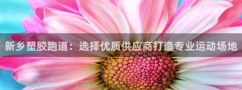 谈球吧官网下载：新乡塑胶跑道：选择优质供应商打造专业运动场地