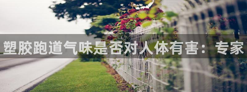 谈球吧体育：塑胶跑道气味是否对人体有害：专家