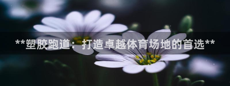 谈球吧靠谱吗：**塑胶跑道：打造卓越体育场地的首选*