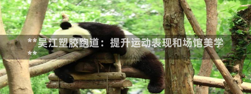 谈球吧怎么样：**吴江塑胶跑道：提升运动表现和场馆美