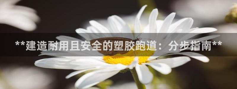 谈球吧的聊天软件是什么：**建造耐用且安全的塑胶跑道：分步指南**