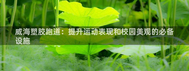 谈球吧体育app下载中心官方：威海塑胶跑道：提升运动表现和校园美观的必备
设施