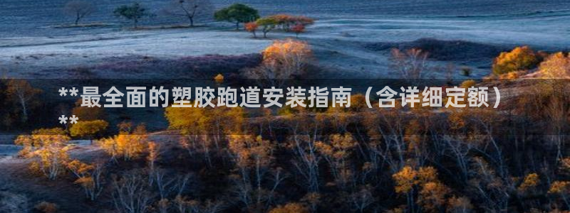 谈球吧怎么样：**最全面的塑胶跑道安装指南（含详细定额）
**