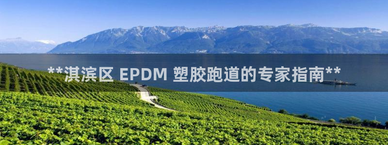 谈球吧娱乐app下载官网苹果版：**淇滨区 EPDM