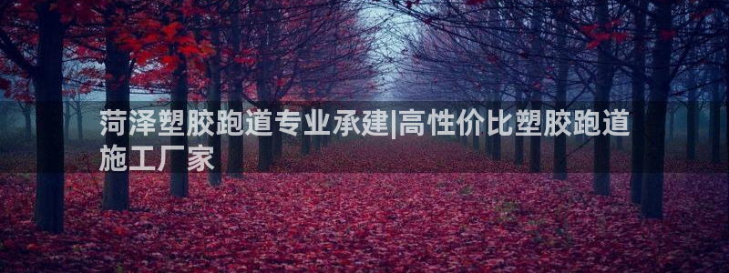 谈球吧官网入口：菏泽塑胶跑道专业承建|高性价比塑胶跑道
施工厂家