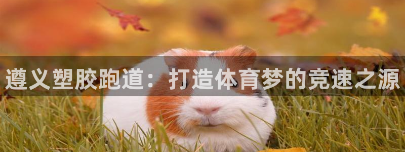 谈球吧官网登录：遵义塑胶跑道：打造体育梦的竞速之源