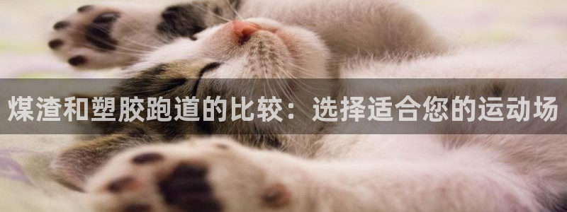 谈球吧体育app登陆：煤渣和塑胶跑道的比较：选择适合