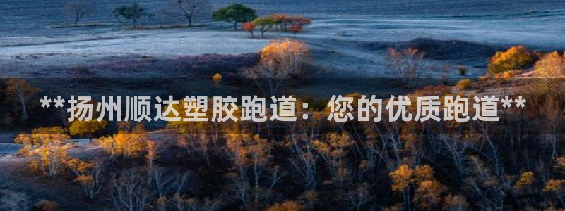 谈球吧体育app下载中心官网