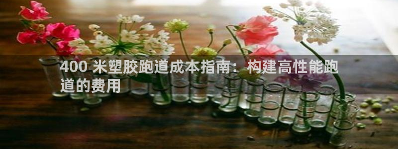 谈球吧体育app下载足球直播视频：400 米塑胶跑道