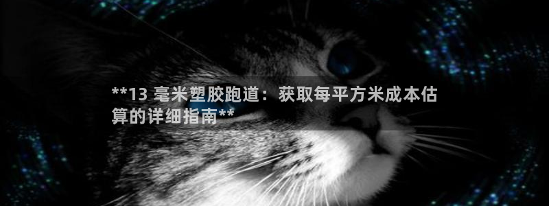 谈球吧的聊天软件是什么：**13 毫米塑胶跑道：获取每平方米成本估
算的详细指南**