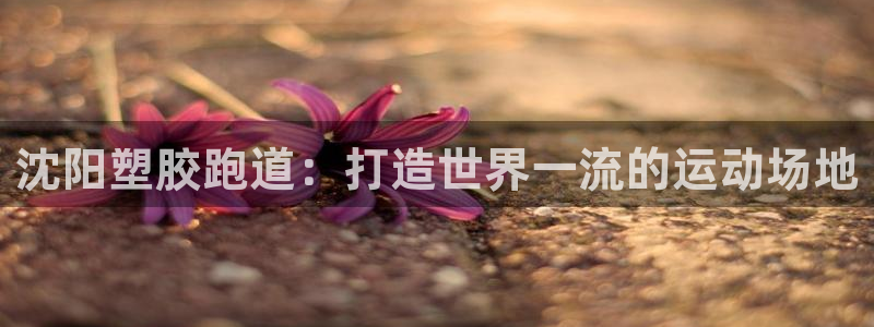 谈球吧官网在线入口手机版免费：沈阳塑胶跑道：打造世界一流的运动场地