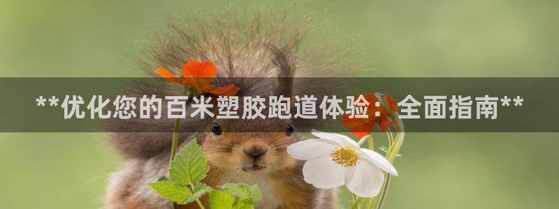 谈球吧算违法行为吗：**优化您的百米塑胶跑道体验：全面指南**