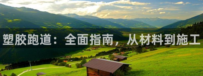 谈球吧app赛事分析报告怎么做：塑胶跑道：全面指南，从材料到施工