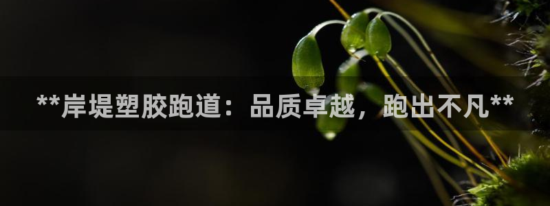 谈球吧被黑不给提现：**岸堤塑胶跑道：品质卓越，跑出不凡**