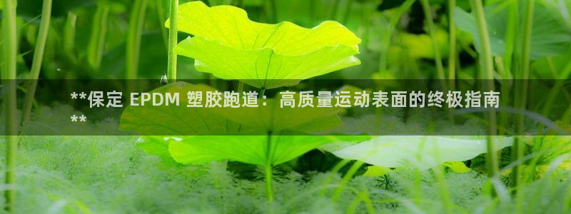 谈球吧言网入口：**保定 EPDM 塑胶跑道：高质量
