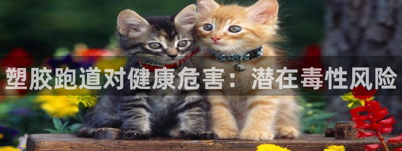 谈球吧体育app下载中心官网：塑胶跑道对健康危害：潜