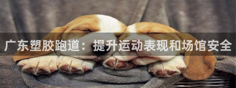 谈球吧体育app下载官网苹果版：广东塑胶跑道：提升运