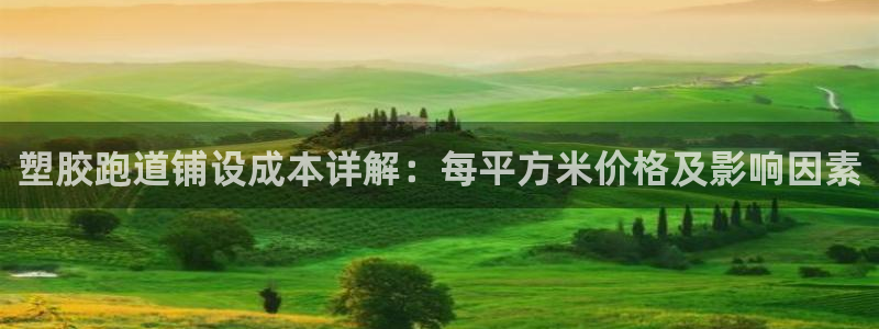 谈球吧app赛事分析在哪里看到：塑胶跑道铺设成本详解：每平方米价格及影响因素