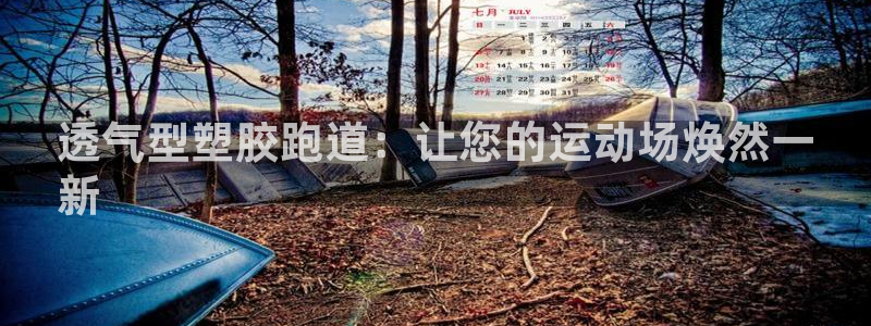 谈球吧与普通平台对比：透气型塑胶跑道：让您的运动场焕然一
新