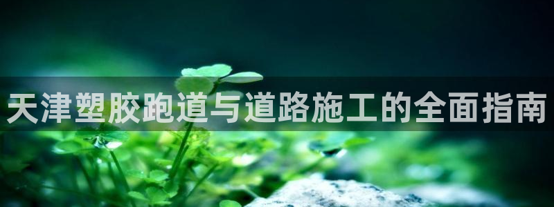 谈球吧体育综合台：天津塑胶跑道与道路施工的全面指南