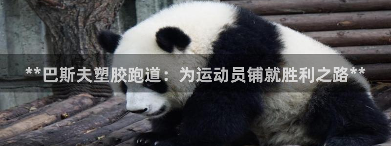 谈球吧体育app下载官网手机版安装：**巴斯夫塑胶跑道：为运动员铺就胜利之路**