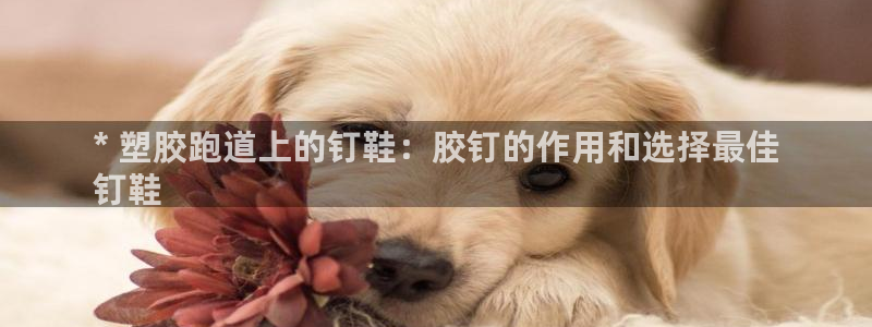 谈球吧黑款：* 塑胶跑道上的钉鞋：胶钉的作用和选择最