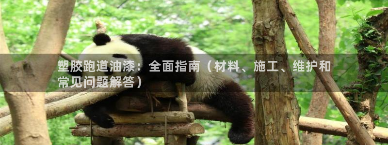 谈球吧是黑台子吗还是白台子：塑胶跑道油漆：全面指南（材料、施工、维护和
常见问题解答）