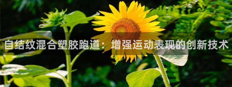 谈球吧官方网站：自结纹混合塑胶跑道：增强运动表现的创新技术