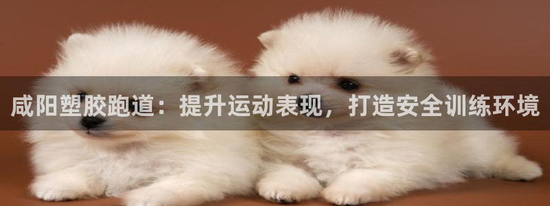 谈球吧平台：咸阳塑胶跑道：提升运动表现，打造安全训练环境