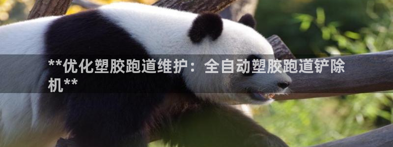 谈球吧体育官网入口：**优化塑胶跑道维护：全自动塑胶跑道铲除
机**