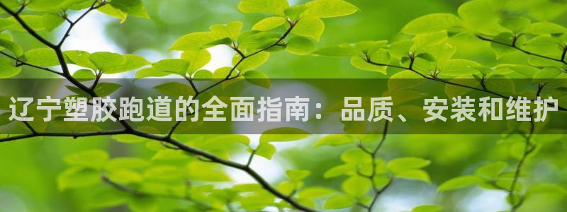 谈球吧体育app下载中心官方最新版：辽宁塑胶跑道的全面指南：品质、安装和维护