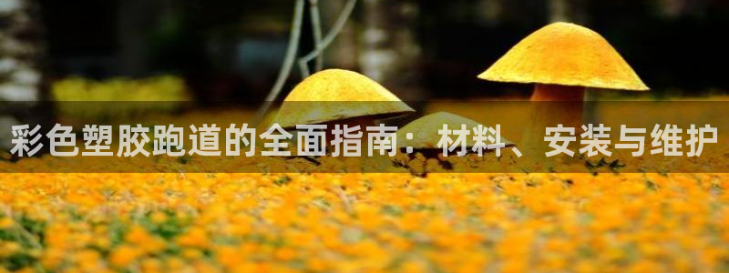 谈球吧是黑台子吗还是白台子：彩色塑胶跑道的全面指南：材料、安装与维护