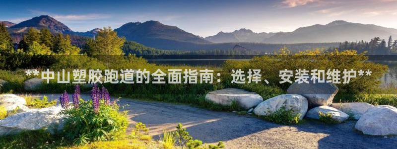 谈球吧官网入口：**中山塑胶跑道的全面指南：选择、安