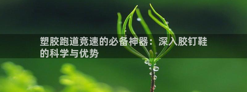 谈球吧app体育：塑胶跑道竞速的必备神器：深入胶钉鞋