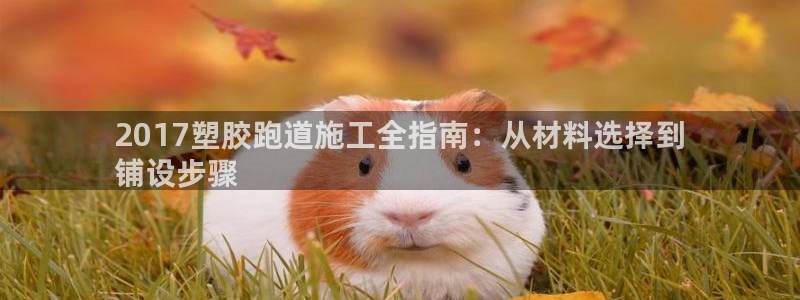 谈球吧官网入口：2017塑胶跑道施工全指南：从材料选择到
铺设步骤