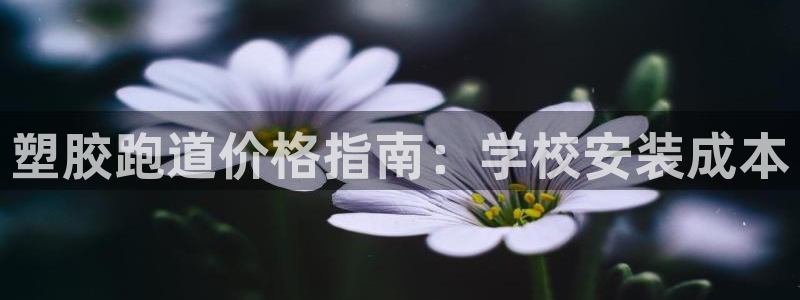 谈球吧的聊天软件是什么：塑胶跑道价格指南：学校安装成本
