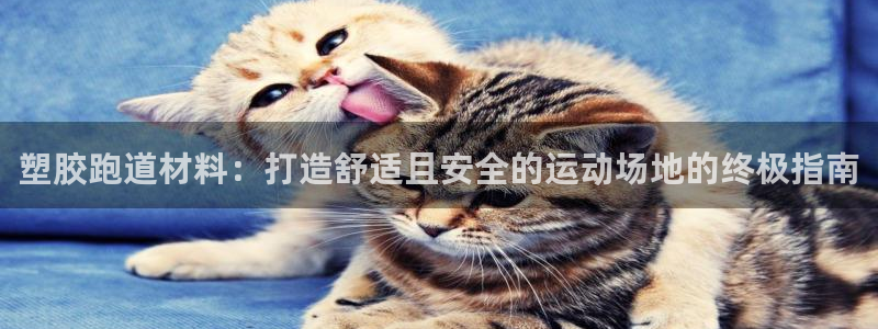 谈球吧网app官网下载：塑胶跑道材料：打造舒适且安全的运动场地的终极指南