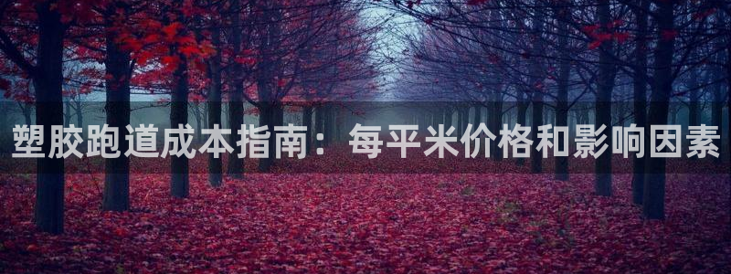 tqb谈球吧：塑胶跑道成本指南：每平米价格和影响因素