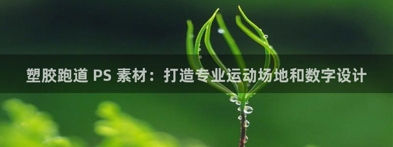 谈球吧是黑台子吗知乎：塑胶跑道 PS 素材：打造专业运动场地和数字设计