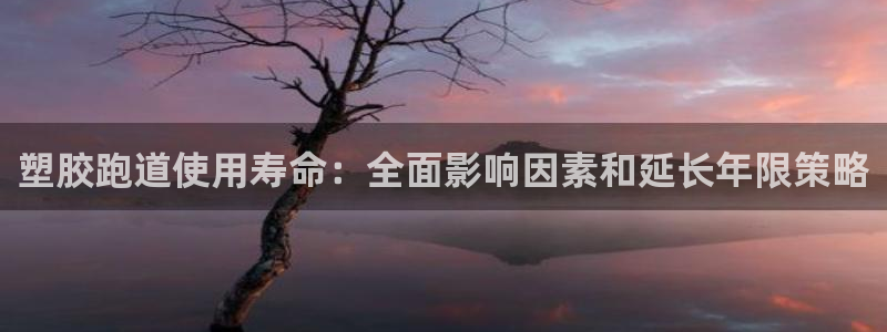 谈球吧app体育下载：塑胶跑道使用寿命：全面影响因素